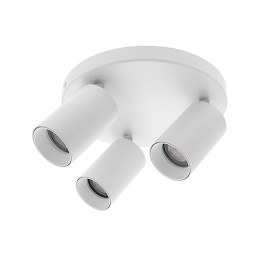 Ceiling light spot light...