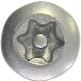 Screws Torx N20 4x10 for...