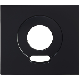 Placa del interruptor...