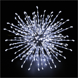 ROMANCE - Bouquet lumineux...