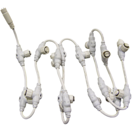 Collector 24 outputs white...