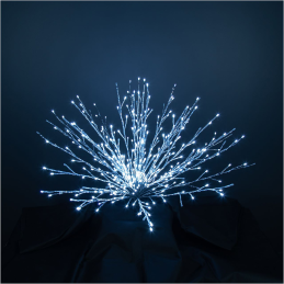 ROMANCE-Luminous bouquet...