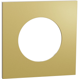 Odace metal - Cover plate 1...