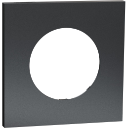 Odace metal - Cover plate 1...