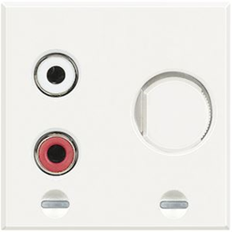 Input RCA for source stereo...