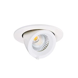 RANDY S - Downlight rond...