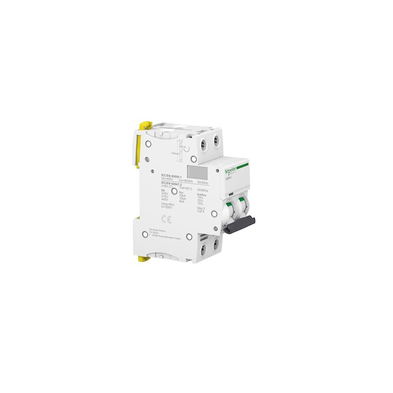 Disjoncteur Schneider IC60N 2P 40A Courbe C - Protection Electrique