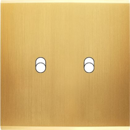 Placa del interruptor...