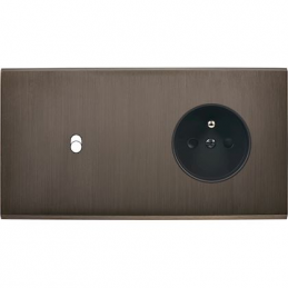 Placa del interruptor...