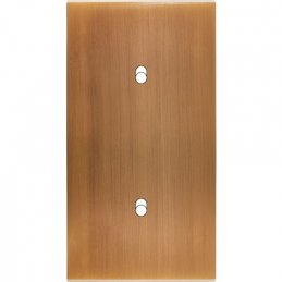 Placa de interrutor...