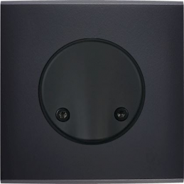 Placa del interruptor...