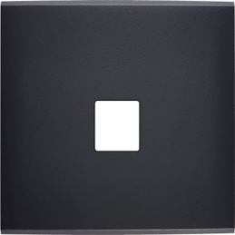 Placa de interrutor...