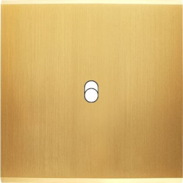 Placa del interruptor...