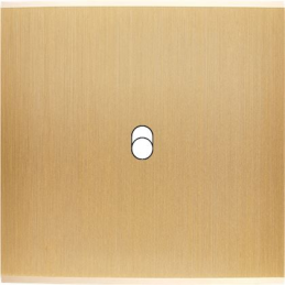 Placa del interruptor...