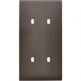 Placa del interruptor...