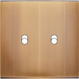 Placa de interrutor...