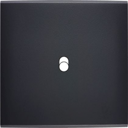 Placa de interrutor...