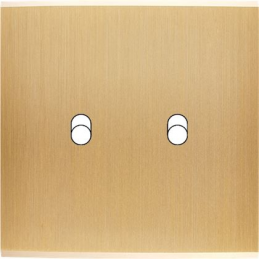 Placa del interruptor...