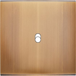 Façade Confidence laiton...