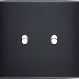 Placa del interruptor...