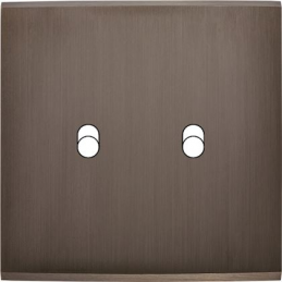 Placa del interruptor...