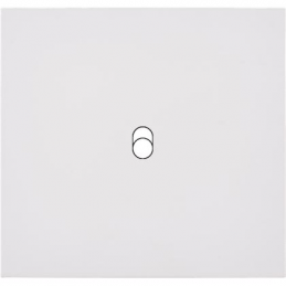 Switch plate Desir white...