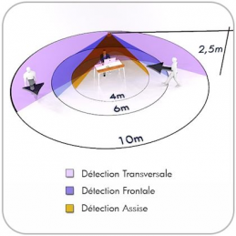PD3N-1c-FP micro sensor de...