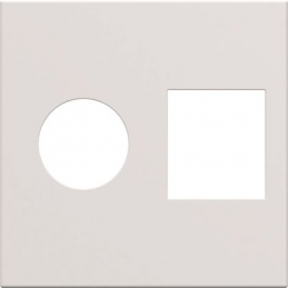 Hubcap Gallery plug TV +...