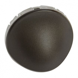 Hubcap Céliane for spot...