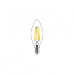 MASTER VALUE flamme LED E14...