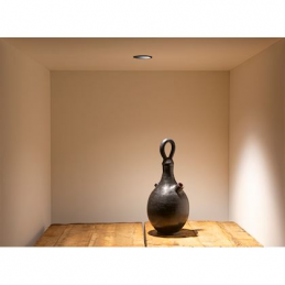 Colarinho LED'UP UNIVERSAL...