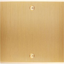 Switch plate Confidence...