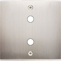 Placa del interruptor...