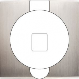 Placa del interruptor...