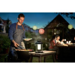 Philips myGarden Lampe à...