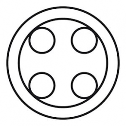 Calota Céliane para ficha...