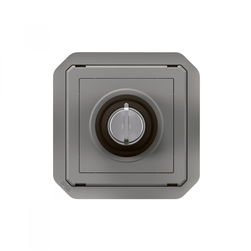Legrand 069534L Key switch RONIS N° 455 Plexo - 2 positions - IP55