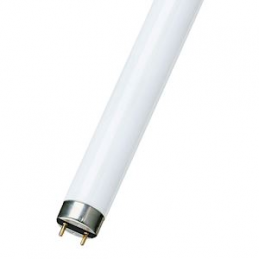 BAI BL tubo fluorescente T8...