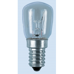 Ledvance 309637 LAMPE Incandescence OSRAM Spécial T Réfrigérateur - 25W  160lm E14