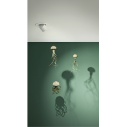 Pop Up regulável Push 30°...