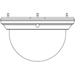 Bolha colorida para...