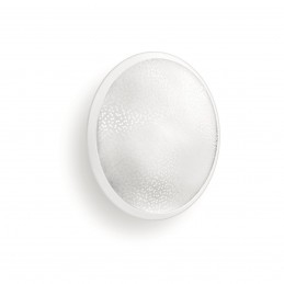 Hue White Ambiance Applique...