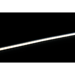 SHARK TOP VIEW MINI souple...