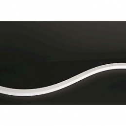 SHARK TOP VIEW SIDE SM up...