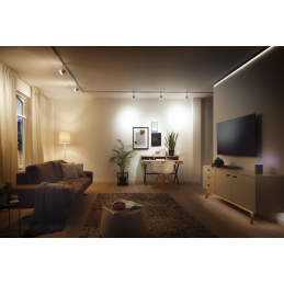 SmartHome ZB Gent...