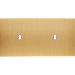 Placa de interrutor...