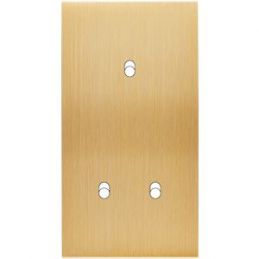 Placa de interrutor...