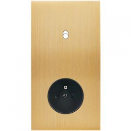 Placa de interrutor...