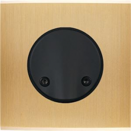 Façade Confidence laiton...