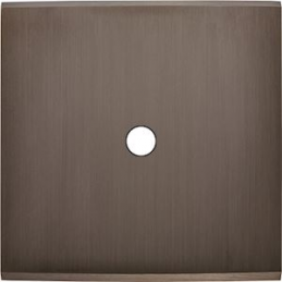 Placa de interrutor...